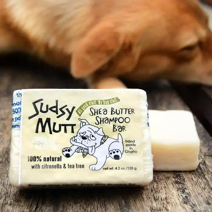 Sudsy Mutt Shea Shampoo Bar: Tea Tree/Citronella